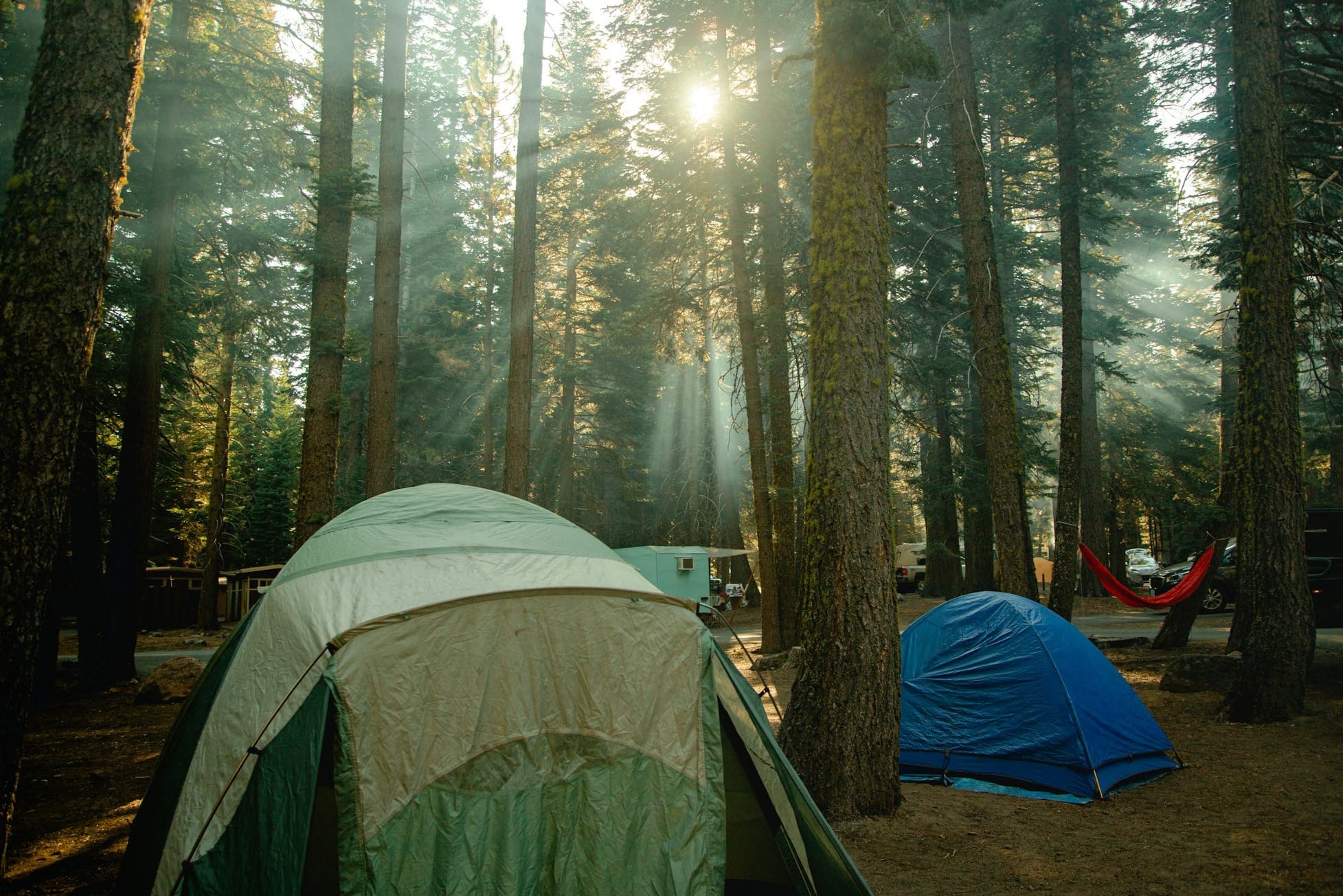 green and gray tent in forest during daytime