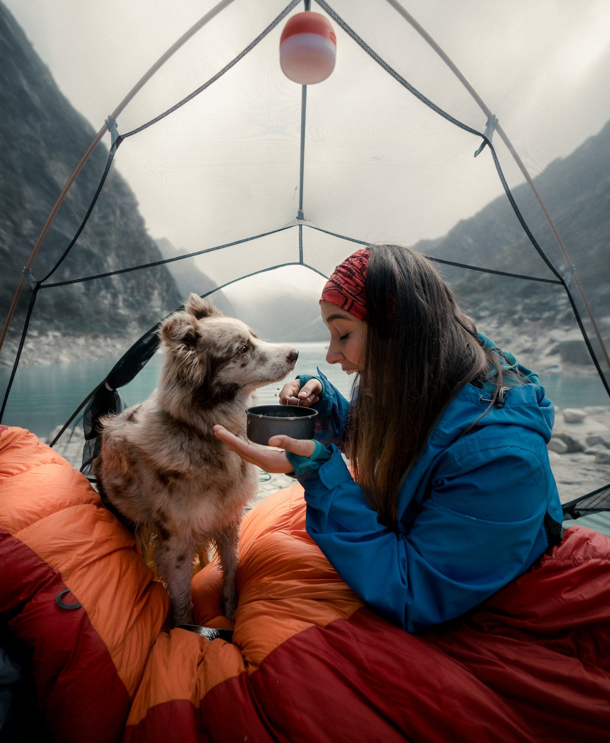 woman in blue jacket sitting with her dog inside a tent