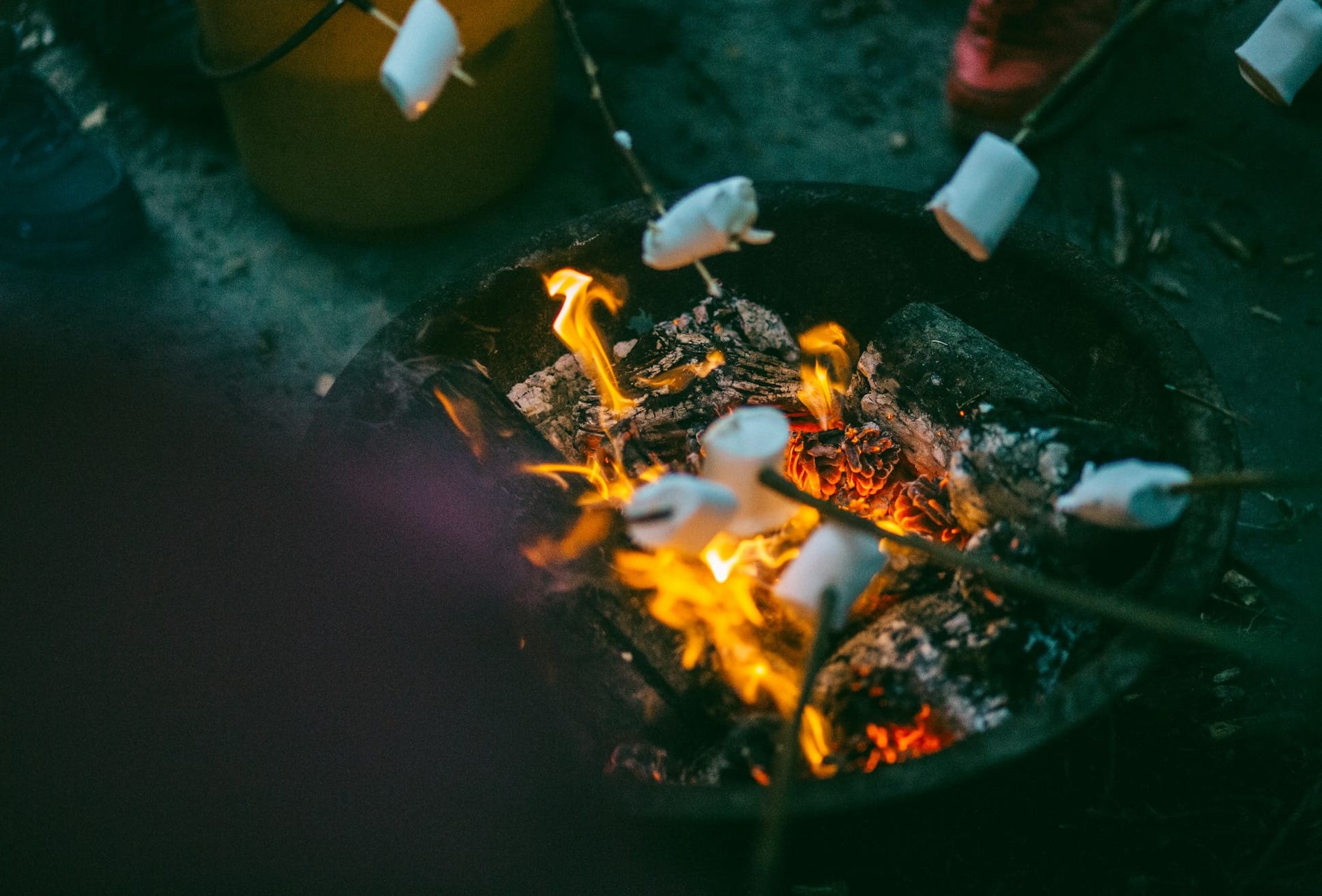 grilling marshmallows on campfire